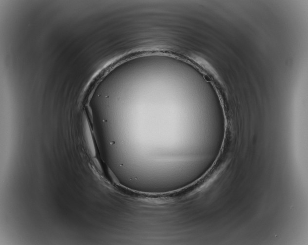 X0000085240781200703301747