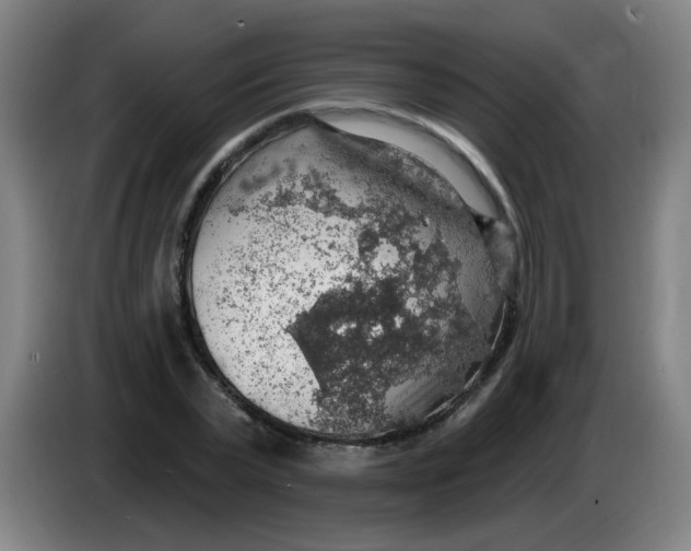 X0000085240783200703301747