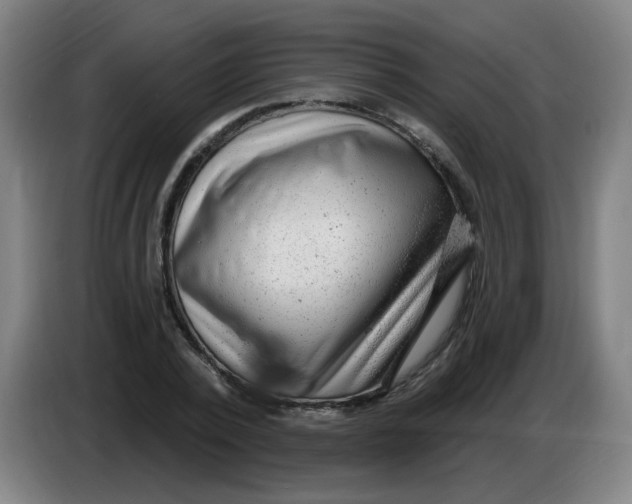 X0000085240784200703301747