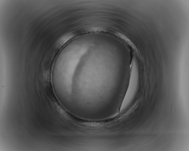 X0000085240785200703301746