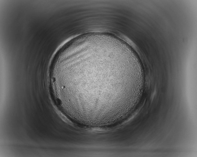 X0000085240787200703301746