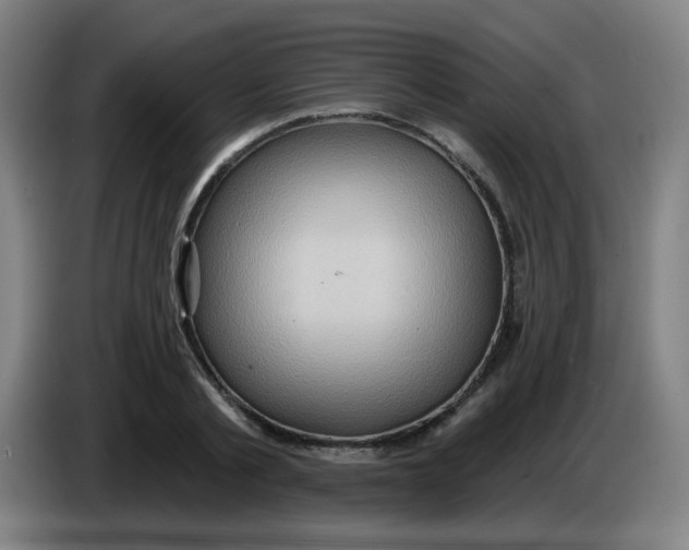X0000085240789200703301746