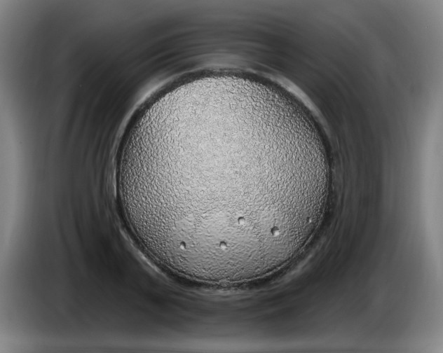 X0000085240791200703301746
