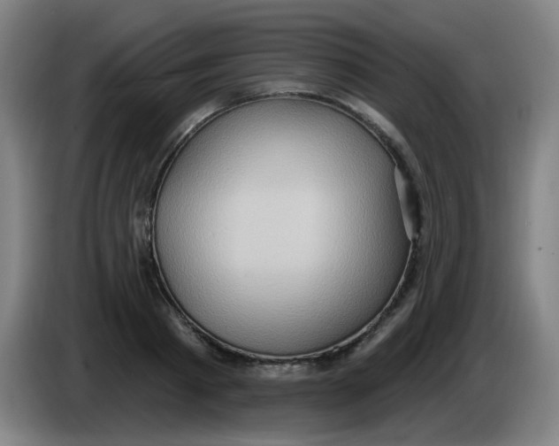 X0000085240793200703301746