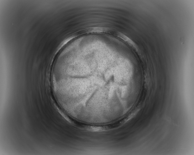 X0000085240794200703301746