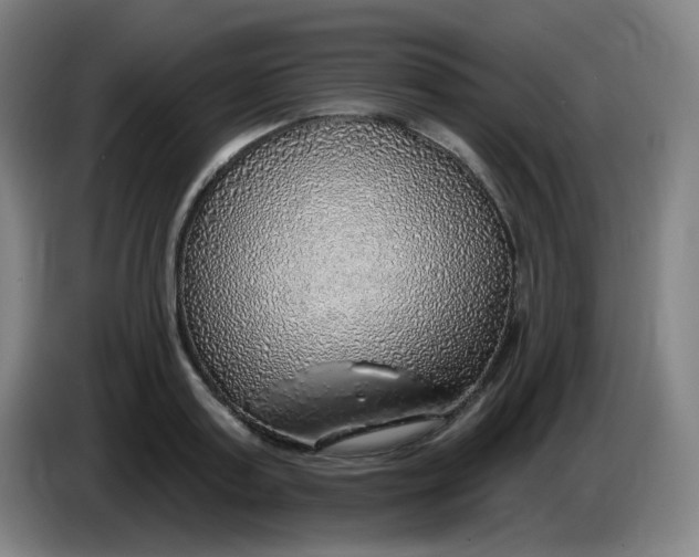 X0000085240795200703301746