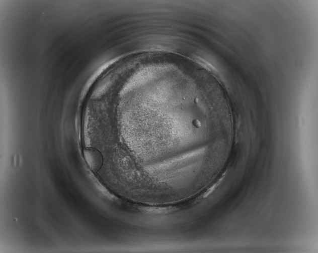 X0000085240796200703301746