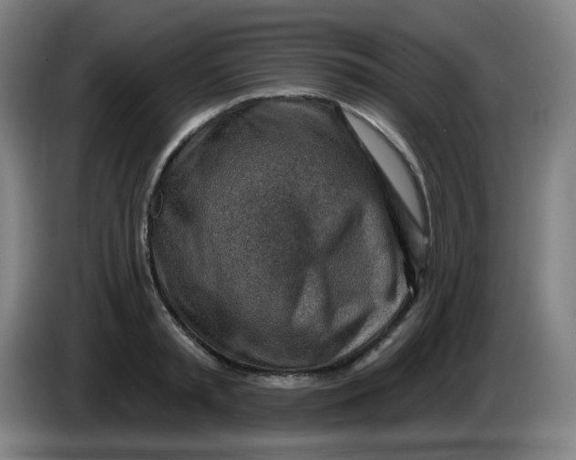 X0000085240797200703301746