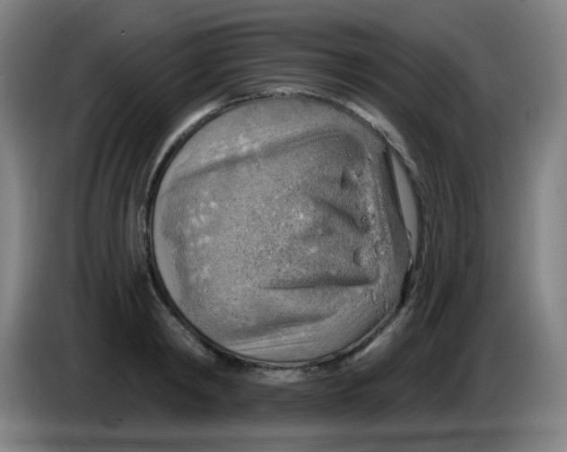 X0000085240798200703301746