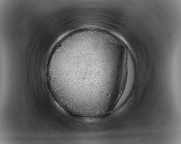 X0000085240799200703301746