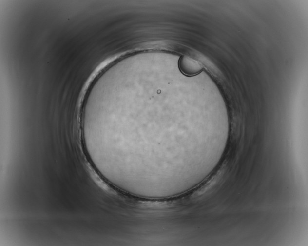 X0000085240800200703301746