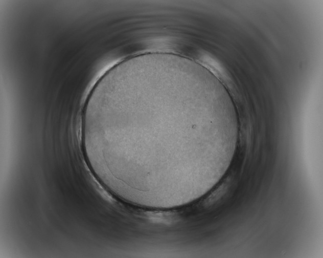 X0000085240804200703301746
