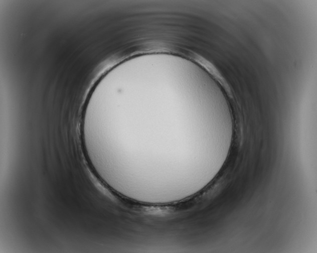 X0000085240805200703301746