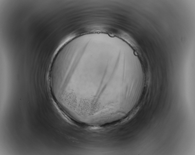 X0000085240806200703301746