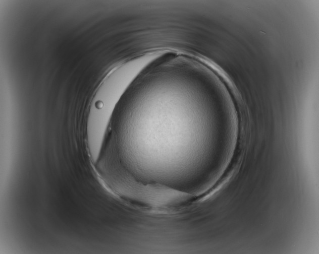 X0000085240809200703301746