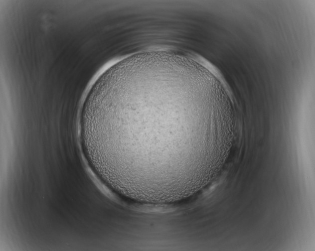 X0000085240811200703301746