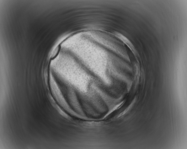 X0000085240812200703301746