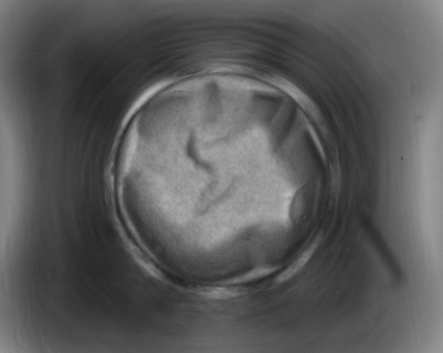 X0000085240814200703301746