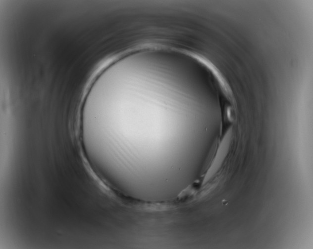 X0000085240815200703301746