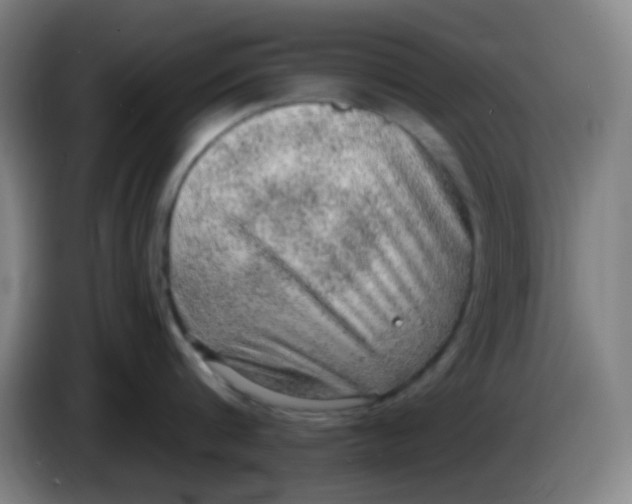 X0000085240816200703301746