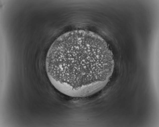 X0000085240817200703301745