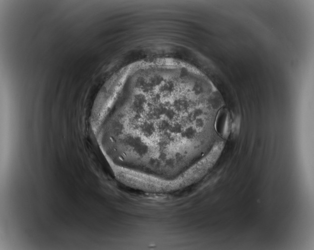 X0000085240819200703301745