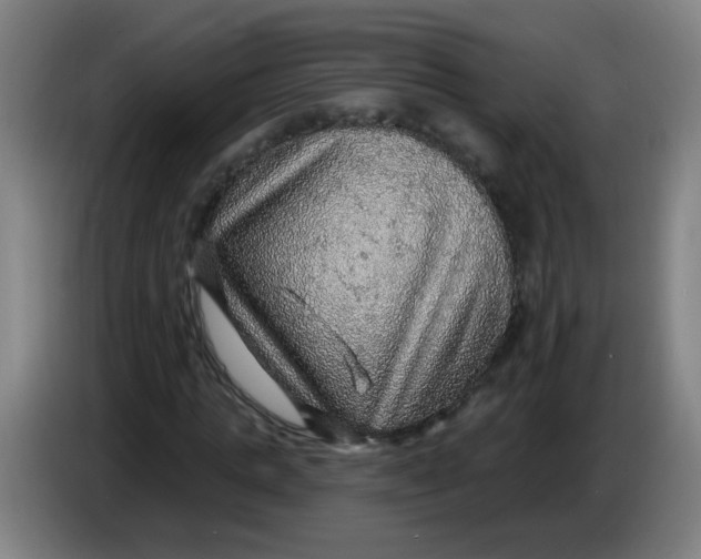 X0000085240821200703301745