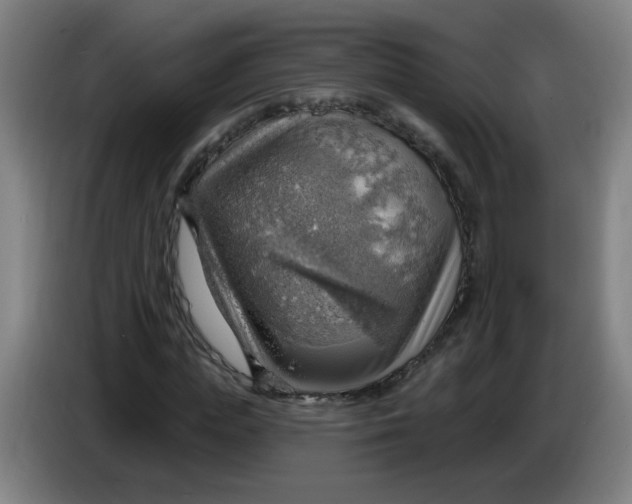 X0000085240823200703301745