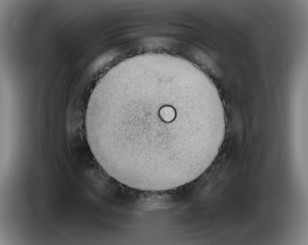 X0000085240824200703301745