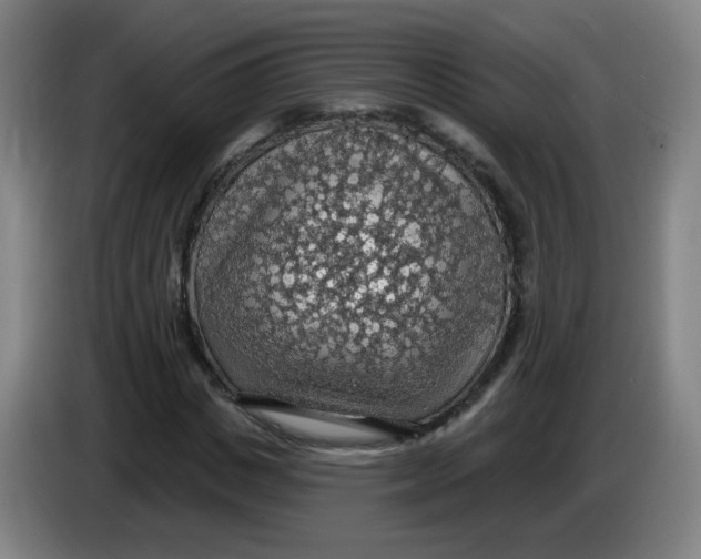 X0000085240825200703301745