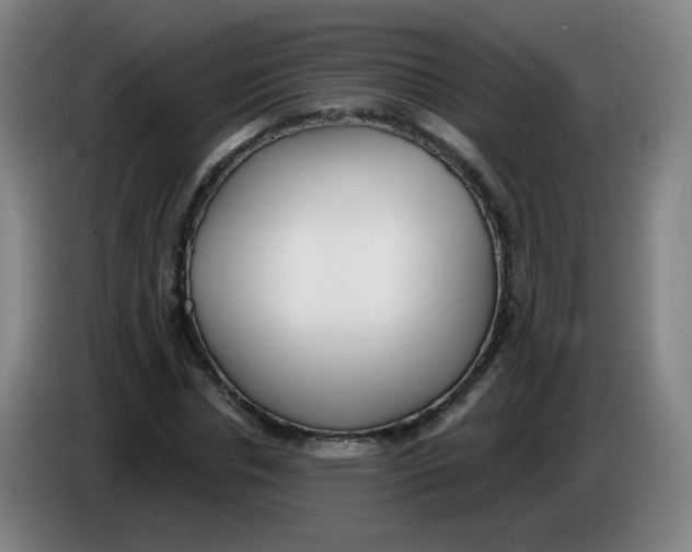 X0000085240826200703301746