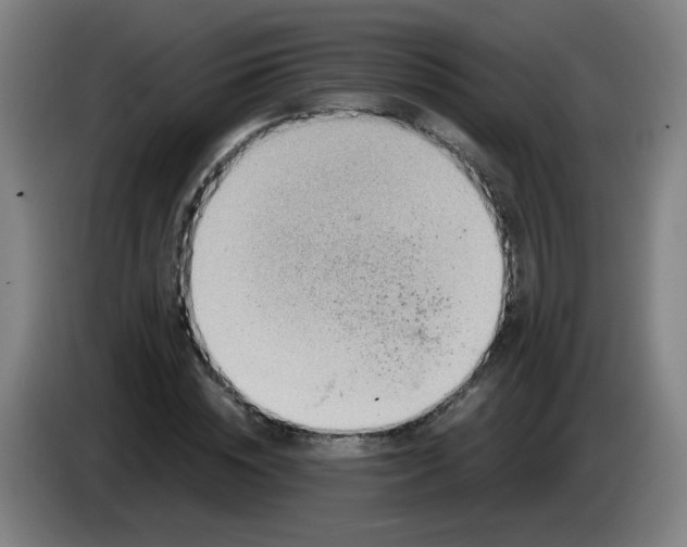 X0000085240828200703301746