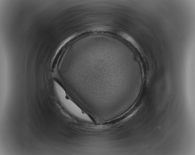 X0000085240829200703301746