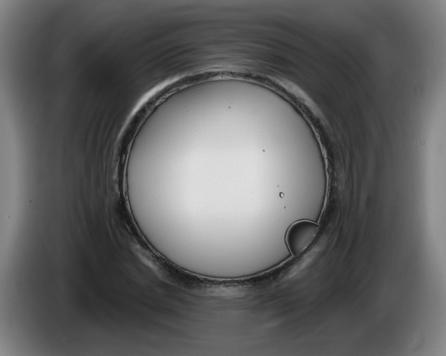 X0000085240830200703301746