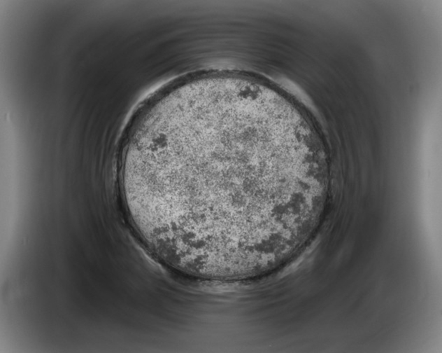 X0000085240831200703301746