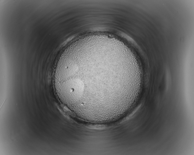 X0000085240833200703301746