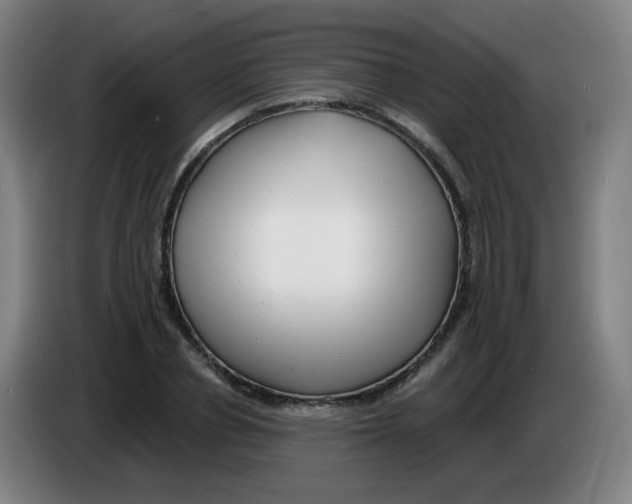 X0000085240834200703301746