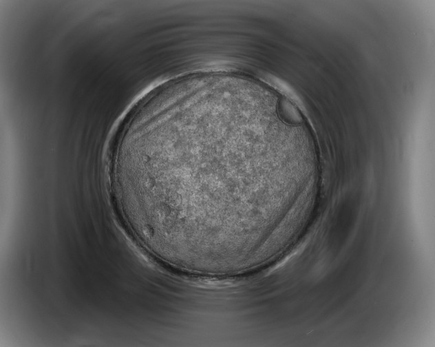 X0000085240835200703301746