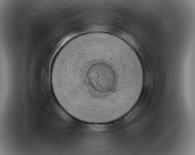 X0000085240836200703301746