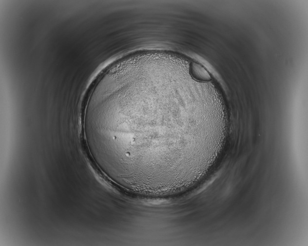 X0000085240837200703301746
