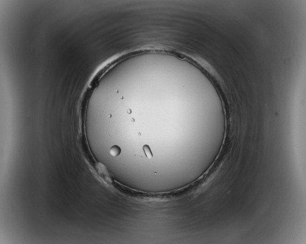 X0000085240838200703301746