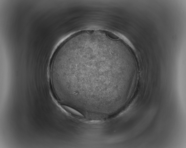 X0000085240839200703301746
