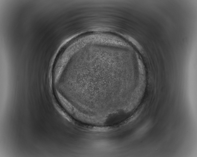 X0000085240840200703301746