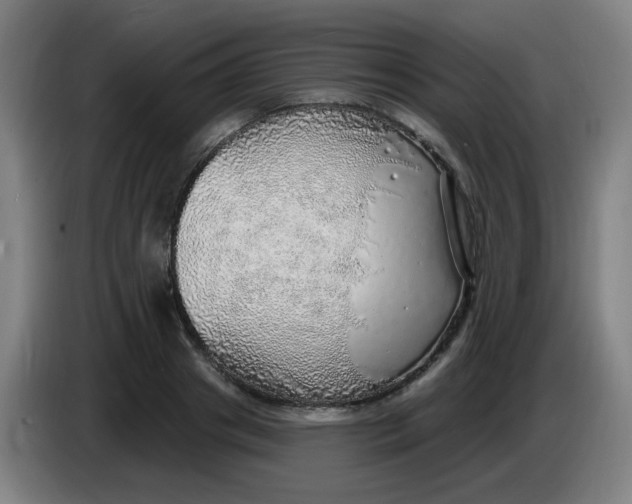 X0000085240841200703301746
