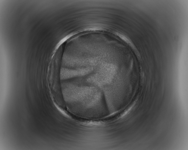 X0000085240842200703301746