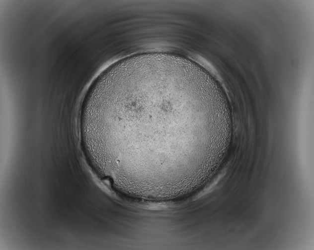 X0000085240843200703301746