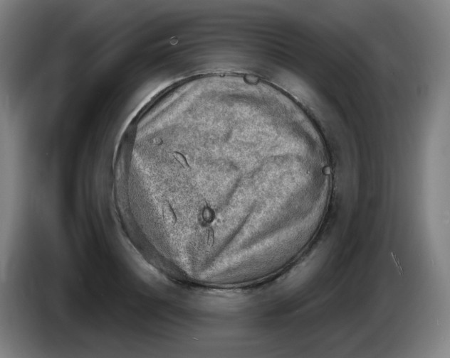 X0000085240844200703301746