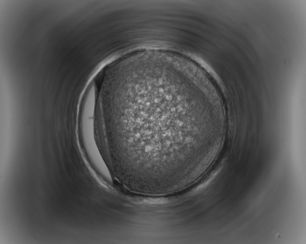 X0000085240845200703301746