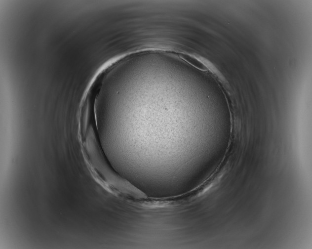 X0000085240846200703301746