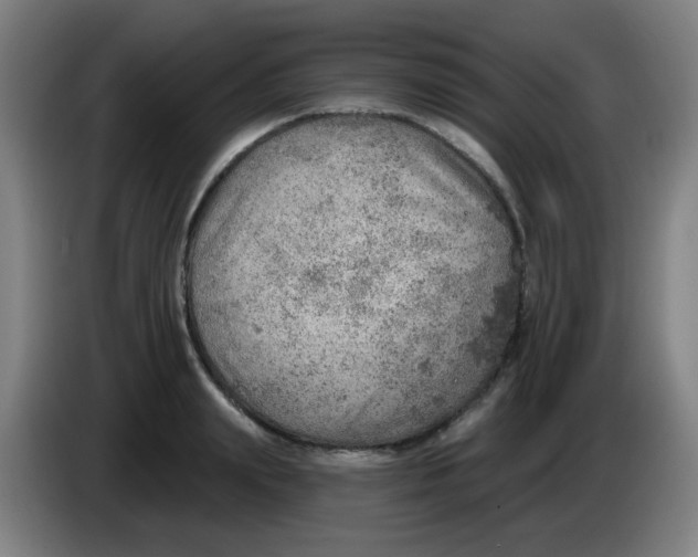 X0000085240847200703301746